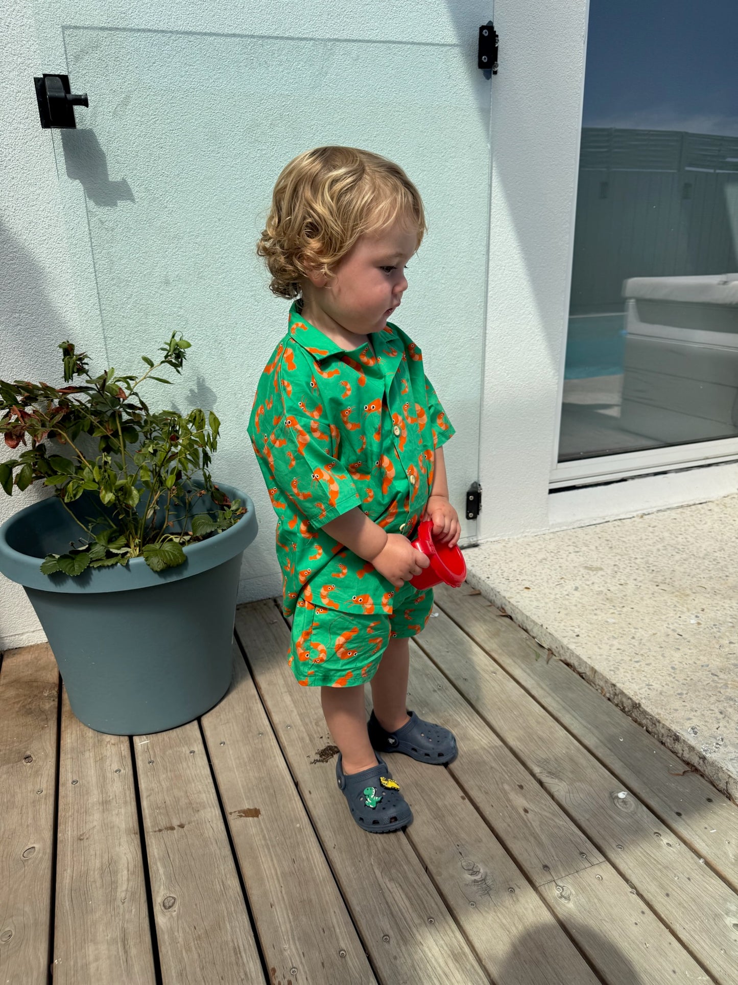 HARRY SHIRT - GREEN PRAWNS